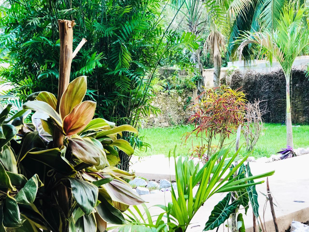 Tierra Maya Hotel Spa & Sanctuary Bacalar Exterior photo